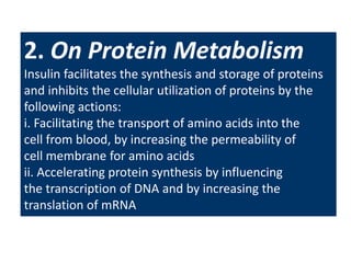 2. On Protein Metabolism
Insulin facilitates the synthesis and storage of proteins
and inhibits the cellular utilization of proteins by the
following actions:
i. Facilitating the transport of amino acids into the
cell from blood, by increasing the permeability of
cell membrane for amino acids
ii. Accelerating protein synthesis by influencing
the transcription of DNA and by increasing the
translation of mRNA
 