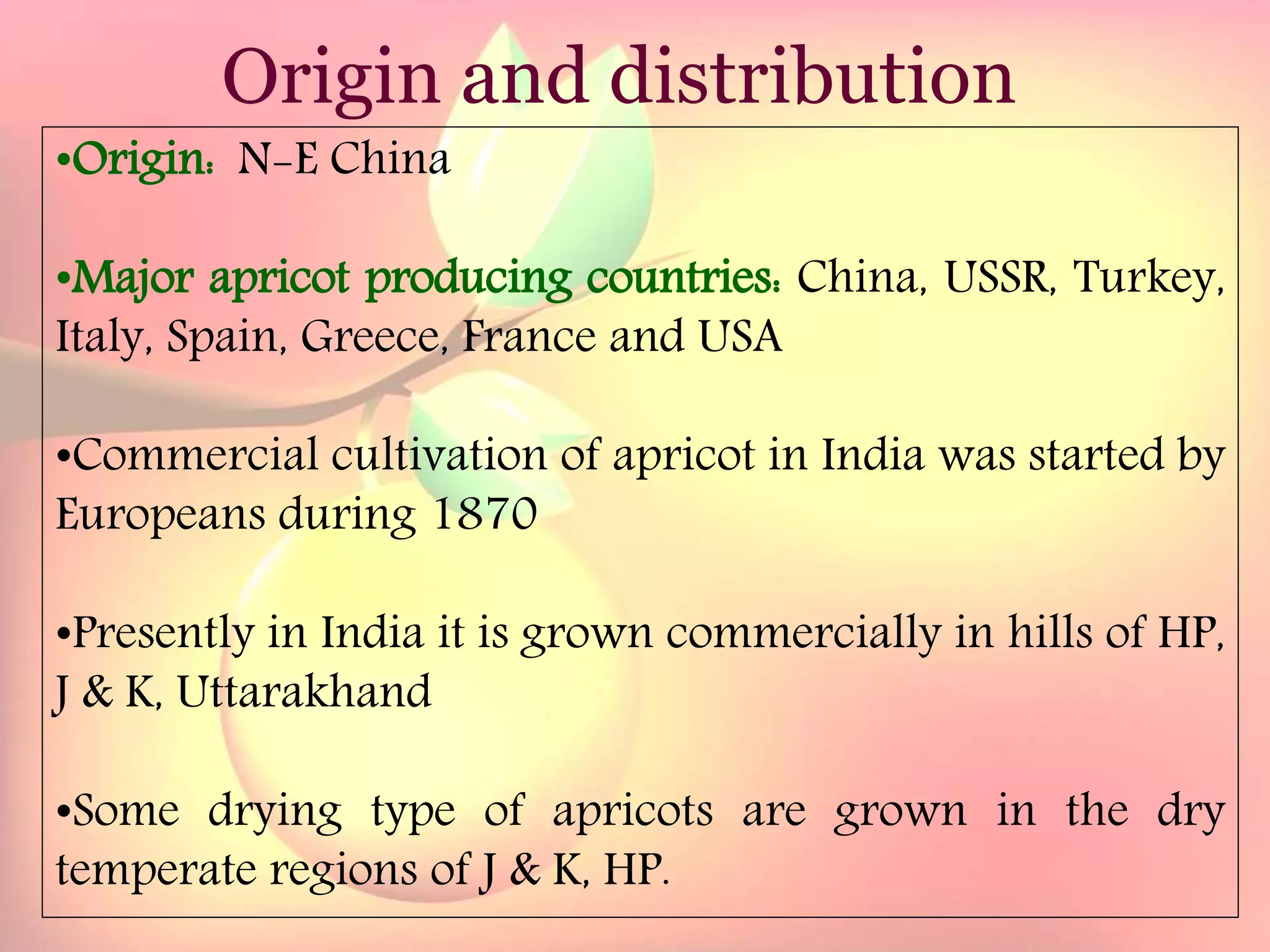 Yield and storage
Yield:
•A 5-year-old tree may provide 35 kg fresh fruits.
Storage:
• Fruits are highly perishable.
•Fruits harvested at optimum maturity can be stored for a week
at 5`C and 85 % relative humidity.
Origin and distribution
•Origin: N-E China
•Major apricot producing countries: China, USSR, Turkey,
Italy, Spain, Greece, France and USA
•Commercial cultivation of apricot in India was started by
Europeans during 1870
•Presently in India it is grown commercially in hills of HP,
J & K, Uttarakhand
•Some drying type of apricots are grown in the dry
temperate regions of J & K, HP.
 