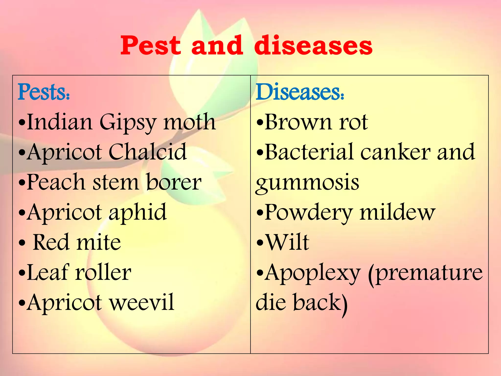 Yield and storage
Yield:
•A 5-year-old tree may provide 35 kg fresh fruits.
Storage:
• Fruits are highly perishable.
•Fruits harvested at optimum maturity can be stored for a week
at 5`C and 85 % relative humidity.
Pests:
•Indian Gipsy moth
•Apricot Chalcid
•Peach stem borer
•Apricot aphid
• Red mite
•Leaf roller
•Apricot weevil
Pest and diseases
Diseases:
•Brown rot
•Bacterial canker and
gummosis
•Powdery mildew
•Wilt
•Apoplexy (premature
die back)
 