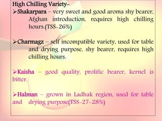 Yield and storage
Yield:
•A 5-year-old tree may provide 35 kg fresh fruits.
Storage:
• Fruits are highly perishable.
•Fruits harvested at optimum maturity can be stored for a week
at 5`C and 85 % relative humidity.
High Chilling Variety-
Shakarpara – very sweet and good aroma shy bearer,
Afghan introduction, requires high chilling
hours.(TSS-26%)
Charmagz – self incompatible variety, used for table
and drying purpose, shy bearer, requires high
chilling hours.
Kaisha – good quality, prolific bearer, kernel is
bitter.
Halman – grown in Ladhak region, used for table
and drying purpose(TSS-27-28%)
 
