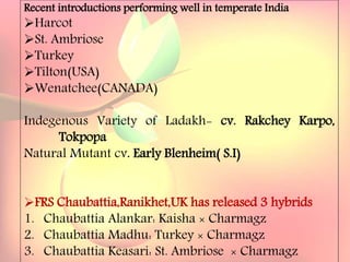 Yield and storage
Yield:
•A 5-year-old tree may provide 35 kg fresh fruits.
Storage:
• Fruits are highly perishable.
•Fruits harvested at optimum maturity can be stored for a week
at 5`C and 85 % relative humidity.
Recent introductions performing well in temperate India
Harcot
St. Ambriose
Turkey
Tilton(USA)
Wenatchee(CANADA)
Indegenous Variety of Ladakh- cv. Rakchey Karpo,
Tokpopa
Natural Mutant cv. Early Blenheim( S.I)
FRS Chaubattia,Ranikhet,UK has released 3 hybrids
1. Chaubattia Alankar: Kaisha × Charmagz
2. Chaubattia Madhu: Turkey × Charmagz
3. Chaubattia Keasari: St. Ambriose × Charmagz
 