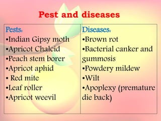 Yield and storage
Yield:
•A 5-year-old tree may provide 35 kg fresh fruits.
Storage:
• Fruits are highly perishable.
•Fruits harvested at optimum maturity can be stored for a week
at 5`C and 85 % relative humidity.
Pests:
•Indian Gipsy moth
•Apricot Chalcid
•Peach stem borer
•Apricot aphid
• Red mite
•Leaf roller
•Apricot weevil
Pest and diseases
Diseases:
•Brown rot
•Bacterial canker and
gummosis
•Powdery mildew
•Wilt
•Apoplexy (premature
die back)
 