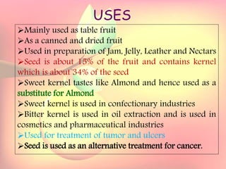 Yield and storage
Yield:
•A 5-year-old tree may provide 35 kg fresh fruits.
Storage:
• Fruits are highly perishable.
•Fruits harvested at optimum maturity can be stored for a week
at 5`C and 85 % relative humidity.
USES
Mainly used as table fruit
As a canned and dried fruit
Used in preparation of Jam, Jelly, Leather and Nectars
Seed is about 15% of the fruit and contains kernel
which is about 34% of the seed
Sweet kernel tastes like Almond and hence used as a
substitute for Almond
Sweet kernel is used in confectionary industries
Bitter kernel is used in oil extraction and is used in
cosmetics and pharmaceutical industries
Used for treatment of tumor and ulcers
Seed is used as an alternative treatment for cancer.
 