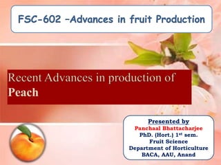 Peach
1
Presented by
Panchaal Bhattacharjee
PhD. (Hort.) 1st sem.
Fruit Science
Department of Horticulture
BACA, AAU, Anand
 