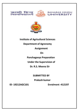 Institute of Agricultural Sciences
Department of Agronomy
Assignment
On
Panchagavya Preparation
Under the Supervision of
Dr. R.S. Meena Sir
SUBMITTED BY
Prakash kumar
ID- 19212AGC101 Enrolment -412197
 