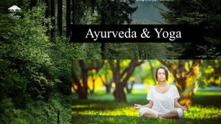 Ayurveda & Yoga
 