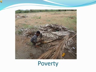 Poverty 
 