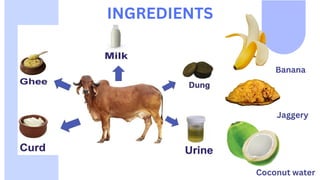 INGREDIENTS
Banana
Jaggery
Coconut water
 