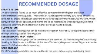 RECOMMENDED DOSAGE
SPRAY SYSTEM :
3% solution was found to be most effective compared to the higher and lower
concentrations investigated. Three litres of Panchagavya to every 100 litres of water is
ideal for all crops. The power sprayers of 10 litres capacity may need 300 ml/tank. When
sprayed with power sprayer, sediments are to be filtered and when sprayed with hand
operated sprayers, the nozzle with higher pore size has to be used.
FLOW SYSTEM :
The solution of Panchagavya can be mixed with irrigation water at 50 litres per hectare either
through drip irrigation or flow irrigation
SEED/SEEDLING TREATMENT :
3% solution of Panchagavya can be used to soak the seeds or dip the seedlings before planting.
Soaking for 20 minutes is sufficient. Rhizomes of Turmeric, Ginger and sets of Sugarcane can be
soaked for 30 minutes before planting.
SEED STORAGE :
3% of Panchagavya solution can be used to dip the seeds before drying and storing them.
 