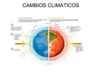     CAMBIOS CLIMATICOS 