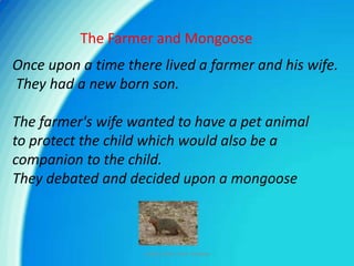 The Farmer and Mongoose Once upon a time there lived a farmer and his wife. They had a new born son.  The farmer&apos;s wife wanted to have a pet animal  to protect the child which would also be a companion to the child.  They debated and decided upon a mongoose sunday slides from sandeep 