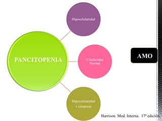 Hipocelularidad
Celularidad
Normal
Hipocelularidad
± citopenia
PANCITOPENIA
Harrison. Med. Interna. 17ª edición.
AMO
 