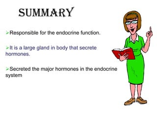 summary
Responsible for the endocrine function.

It is a large gland in body that secrete
hormones.

Secreted the major hormones in the endocrine
system
 