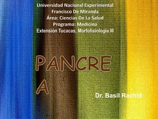 Universidad Nacional Experimental
Francisco De Miranda
Área: Ciencias De La Salud
Programa: Medicina
Extensión Tucacas, Morfofisiología III
Dr. Basil Rachid
 
