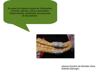 Jéssica Caroline de Almeida Vieira  Gabrieli Dalmagro Ás vezes fico doente e posso ter inflamações,  Tumores, cálculos, cistos e pseudólitos,  bolsas líquidas, geralmente consequentes  de traumatismo.  