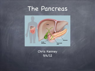 The Pancreas




   Chris Kenney
      9/4/12
 