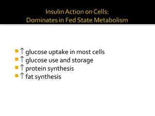  ↑ glucose uptake in most cells
 ↑ glucose use and storage
 ↑ protein synthesis
 ↑ fat synthesis
 