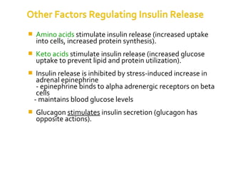  Amino acids stimulate insulin release (increased uptake
into cells, increased protein synthesis).
 Keto acids stimulate insulin release (increased glucose
uptake to prevent lipid and protein utilization).
 Insulin release is inhibited by stress-induced increase in
adrenal epinephrine
- epinephrine binds to alpha adrenergic receptors on beta
cells
- maintains blood glucose levels
 Glucagon stimulates insulin secretion (glucagon has
opposite actions).
 