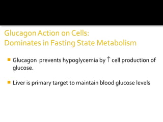  Glucagon prevents hypoglycemia by ↑ cell production of
glucose.
 Liver is primary target to maintain blood glucose levels
 