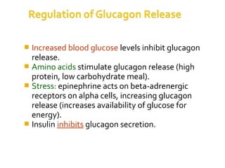  Increased blood glucose levels inhibit glucagon
release.
 Amino acids stimulate glucagon release (high
protein, low carbohydrate meal).
 Stress: epinephrine acts on beta-adrenergic
receptors on alpha cells, increasing glucagon
release (increases availability of glucose for
energy).
 Insulin inhibits glucagon secretion.
 