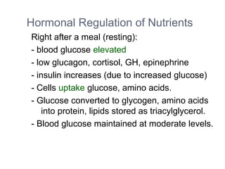 Hormonal Regulation of Nutrients
Right after a meal (resting):
- blood glucose elevated
- low glucagon, cortisol, GH, epinephrine
- insulin increases (due to increased glucose)
- Cells uptake glucose, amino acids.
- Glucose converted to glycogen, amino acids
into protein, lipids stored as triacylglycerol.
- Blood glucose maintained at moderate levels.
 