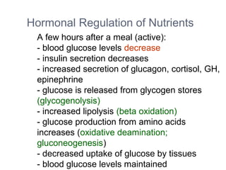 A few hours after a meal (active):
- blood glucose levels decrease
- insulin secretion decreases
- increased secretion of glucagon, cortisol, GH,
epinephrine
- glucose is released from glycogen stores
(glycogenolysis)
- increased lipolysis (beta oxidation)
- glucose production from amino acids
increases (oxidative deamination;
gluconeogenesis)
- decreased uptake of glucose by tissues
- blood glucose levels maintained
Hormonal Regulation of Nutrients
 