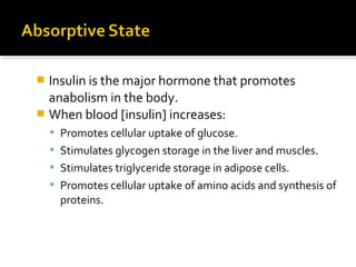  Insulin is the major hormone that promotes
anabolism in the body.
 When blood [insulin] increases:
 Promotes cellular uptake of glucose.
 Stimulates glycogen storage in the liver and muscles.
 Stimulates triglyceride storage in adipose cells.
 Promotes cellular uptake of amino acids and synthesis of
proteins.
 