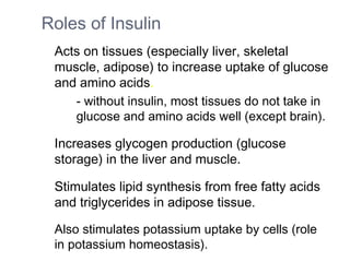 Roles of Insulin
Acts on tissues (especially liver, skeletal
muscle, adipose) to increase uptake of glucose
and amino acids.
- without insulin, most tissues do not take in
glucose and amino acids well (except brain).
Increases glycogen production (glucose
storage) in the liver and muscle.
Stimulates lipid synthesis from free fatty acids
and triglycerides in adipose tissue.
Also stimulates potassium uptake by cells (role
in potassium homeostasis).
 