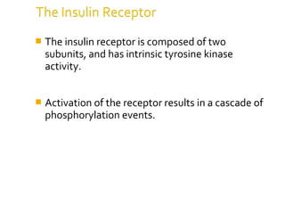  The insulin receptor is composed of two
subunits, and has intrinsic tyrosine kinase
activity.
 Activation of the receptor results in a cascade of
phosphorylation events.
 