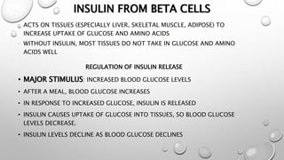 INSULIN FROM BETA CELLS 
• ACTS ON TISSUES (ESPECIALLY LIVER, SKELETAL MUSCLE, ADIPOSE) TO 
INCREASE UPTAKE OF GLUCOSE AND AMINO ACIDS. 
• WITHOUT INSULIN, MOST TISSUES DO NOT TAKE IN GLUCOSE AND AMINO 
ACIDS WELL 
REGULATION OF INSULIN RELEASE 
• MAJOR STIMULUS: INCREASED BLOOD GLUCOSE LEVELS 
• AFTER A MEAL, BLOOD GLUCOSE INCREASES 
• IN RESPONSE TO INCREASED GLUCOSE, INSULIN IS RELEASED 
• INSULIN CAUSES UPTAKE OF GLUCOSE INTO TISSUES, SO BLOOD GLUCOSE 
LEVELS DECREASE. 
• INSULIN LEVELS DECLINE AS BLOOD GLUCOSE DECLINES 
 