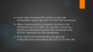  Insulin also increases the number of glucose
transporters, especially GLUT 4 in the cell membrane
 When insulin-receptor complex is formed in the
membrane of such cells, the vesicles containing
GLUT4 are attracted towards the membrane and
GLUT4 is released into the membrane.
 Now, GLUT4 starts transporting the glucose
molecules from extracellular fluid (ECF) into the cell.
 