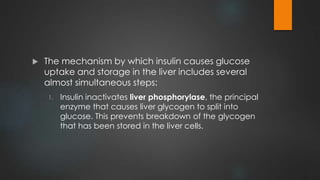 The mechanism by which insulin causes glucose
uptake and storage in the liver includes several
almost simultaneous steps:
1. Insulin inactivates liver phosphorylase, the principal
enzyme that causes liver glycogen to split into
glucose. This prevents breakdown of the glycogen
that has been stored in the liver cells.
 