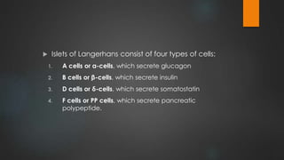  Islets of Langerhans consist of four types of cells:
1. A cells or α-cells, which secrete glucagon
2. B cells or β-cells, which secrete insulin
3. D cells or δ-cells, which secrete somatostatin
4. F cells or PP cells, which secrete pancreatic
polypeptide.
 