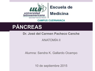 PÁNCREAS
Dr. José del Carmen Pacheco Canche
ANATOMÍA II
Alumna: Sandra K. Gallardo Ocampo
10 de septiembre 2015
CAMPUS CUERNAVACA
 