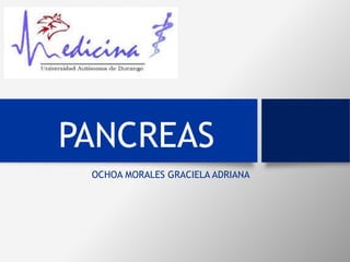 PANCREAS
OCHOA MORALES GRACIELA ADRIANA
 