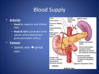 Blood Supply
• Arterial:
– Head by superior and inferior
PDA.
– Body & tail by branches from
splenic artery (dorsal and
great pancreatic artery)
• Venous:
– Splenic vein  portal
vein
 