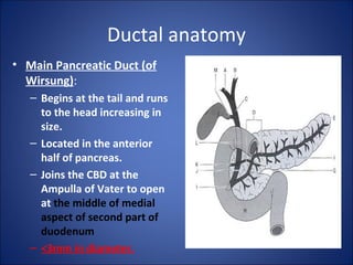 Ductal anatomy
• Main Pancreatic Duct (of
Wirsung):
– Begins at the tail and runs
to the head increasing in
size.
– Located in the anterior
half of pancreas.
– Joins the CBD at the
Ampulla of Vater to open
at the middle of medial
aspect of second part of
duodenum
– <3mm in diameter.
 