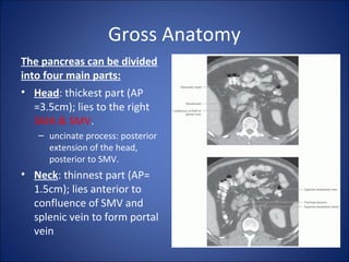 Gross Anatomy
The pancreas can be divided
into four main parts:
• Head: thickest part (AP
=3.5cm); lies to the right
SMA & SMV.
– uncinate process: posterior
extension of the head,
posterior to SMV.
• Neck: thinnest part (AP=
1.5cm); lies anterior to
confluence of SMV and
splenic vein to form portal
vein
 