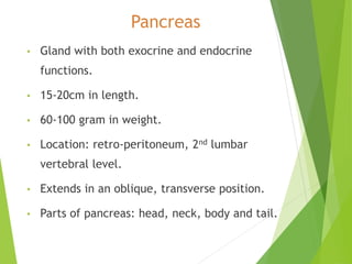 Pancreas
• Gland with both exocrine and endocrine
functions.
• 15-20cm in length.
• 60-100 gram in weight.
• Location: retro-peritoneum, 2nd lumbar
vertebral level.
• Extends in an oblique, transverse position.
• Parts of pancreas: head, neck, body and tail.
 