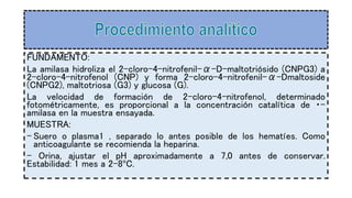 Pancreas | PPTX