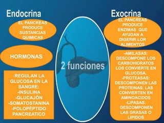 EL PANCREAS
PRODUCE
SUSTANCIAS
QUIMICAS
HORMONAS
EL PANCREAS
PRODUCE
ENZIMAS QUE
AYUDAN A
DIGERIR LOR
ALIMENTOS
-REGULAN LA
GLUCOSA EN LA
SANGRE:
-INSULINA
-GLUCAJÓN
-SOMATOSTANINA
-POLOPÉPTIDO
PANCREATICO
-AMILASAS:
DESCOMPONE LOS
CARBOHIDRATOS
LOS CONVIERTE EN
GLUCOSA.
-PROTEASAS:
DESCOMPONEN LAS
PROTEINAS, LAS
CONVIERTEN EN
AMINOACIDOS
-LIPASAS:
DESCOMPONEN
LAS GRASAS O
LIPIDOS
 