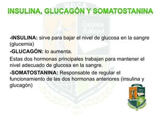 -INSULINA: sirve para bajar el nivel de glucosa en la sangre
(glucemia)
-GLUCAGÓN: lo aumenta.
Estas dos hormonas principales trabajan para mantener el
nivel adecuado de glucosa en la sangre.
-SOMATOSTANINA: Responsable de regular el
funcionamiento de las dos hormonas anteriores (insulina y
glucagón)
 