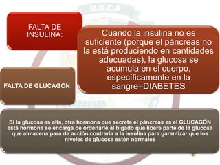 FALTA DE
INSULINA: Cuando la insulina no es
suficiente (porque el páncreas no
la está produciendo en cantidades
adecuadas), la glucosa se
acumula en el cuerpo,
específicamente en la
sangre=DIABETESFALTA DE GLUCAGÓN:
Si la glucosa es alta, otra hormona que secreta el páncreas es el GLUCAGÓN
está hormona se encarga de ordenarle al hígado que libere parte de la glucosa
que almacena para de acción contraría a la insulina para garantizar que los
niveles de glucosa estén normales
 