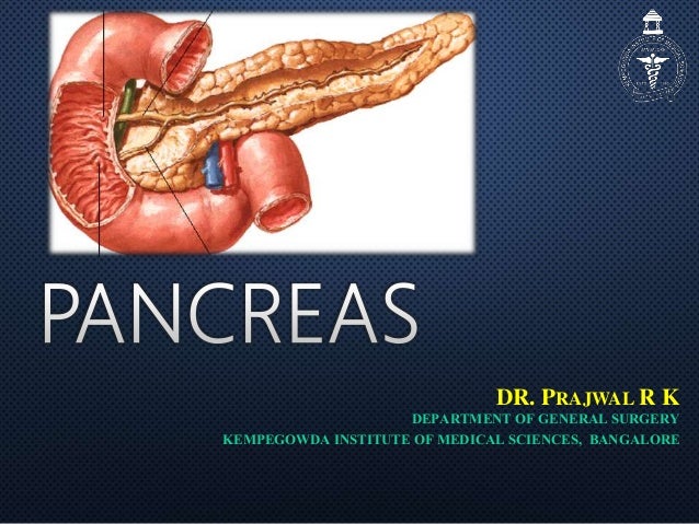 Pancreas