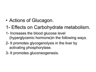 • Actions of Glucagon.
1- Effects on Carbohydrate metabolism.
1- Increases the blood glucose level
(hyperglycemic hormone)in the following ways.
2- It promotes glycogenolysis in the liver by
activating phosphorylase.
3- It promotes gluconeogenesis.
 