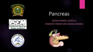 Pancreas
ALONSO RANGEL JESSICA G.
RESIDENTE PIRMER AÑO CIRUGIA GENERAL
 