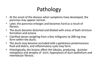 Pathology
• At the onset of the disease when symptoms have developed, the
pancreas may appear normal.
• Later, the pancreas enlarges and becomes hard as a result of
fibrosis.
• The ducts become distorted and dilated with areas of both stricture
formation and ectasia.
• Calcified stones weighing from a few milligrams to 200 mg may
form within the ducts.
• The ducts may become occluded with a gelatinous proteinaceous
fluid and debris, and inflammatory cysts may form.
• Histologically, the lesions affect the lobules, producing ductular
metaplasia and atrophy of acini, hyperplasia of duct epithelium and
interlobular fibrosis.
 