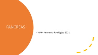 PANCREAS
• UAP- Anatomia Patológica 2021
 