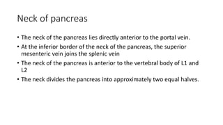 Neck of pancreas
• The neck of the pancreas lies directly anterior to the portal vein.
• At the inferior border of the neck of the pancreas, the superior
mesenteric vein joins the splenic vein
• The neck of the pancreas is anterior to the vertebral body of L1 and
L2
• The neck divides the pancreas into approximately two equal halves.
 