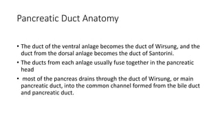 Pancreatic Duct Anatomy
• The duct of the ventral anlage becomes the duct of Wirsung, and the
duct from the dorsal anlage becomes the duct of Santorini.
• The ducts from each anlage usually fuse together in the pancreatic
head
• most of the pancreas drains through the duct of Wirsung, or main
pancreatic duct, into the common channel formed from the bile duct
and pancreatic duct.
 